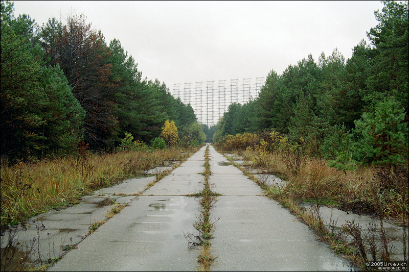 Russian Woodpecker