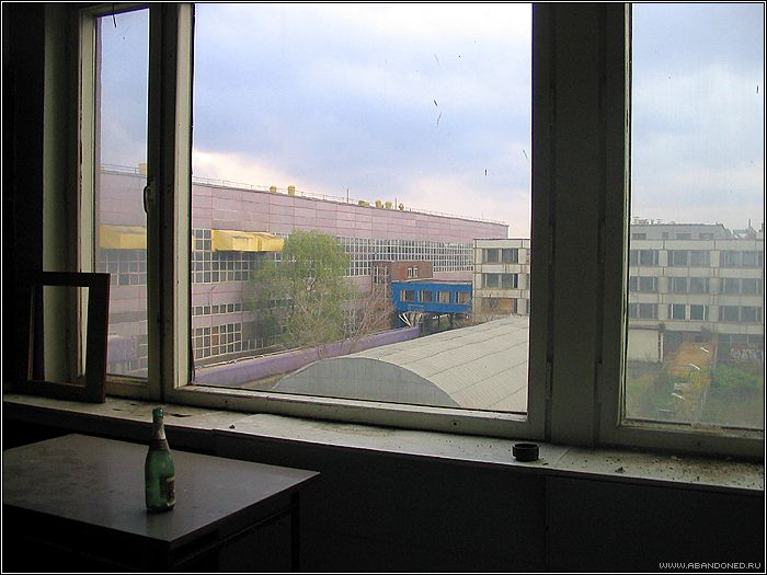 View through the window